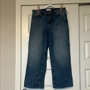 Zara Classic Blue Denim Pants